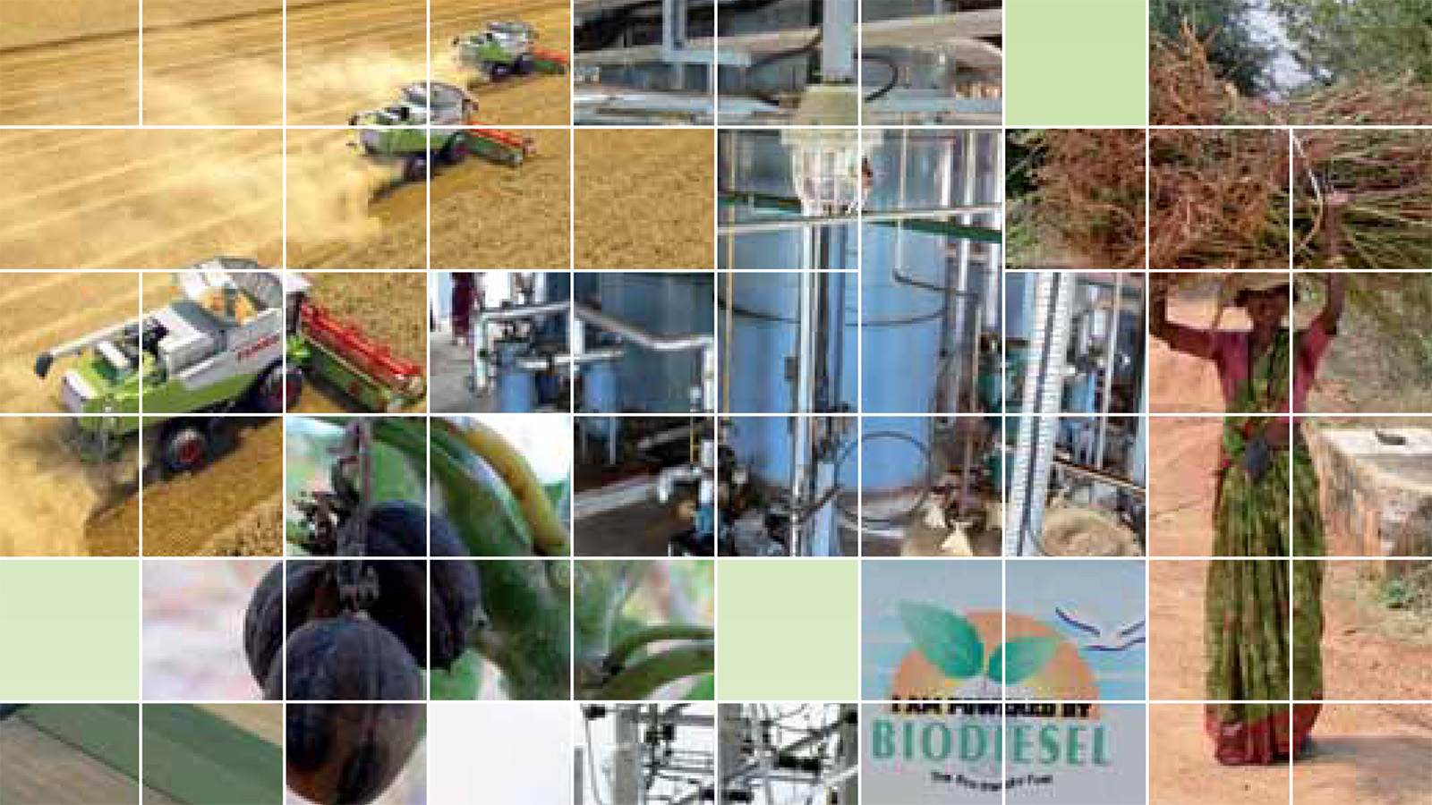 Welt im Wandel: Zukunftsfähige Bioenergie und nachhaltige Landnutzung